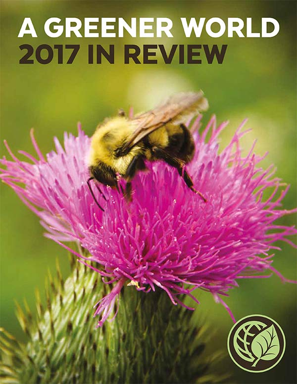 A Greener World 2017 in Review