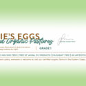 Eddie’s Eggs